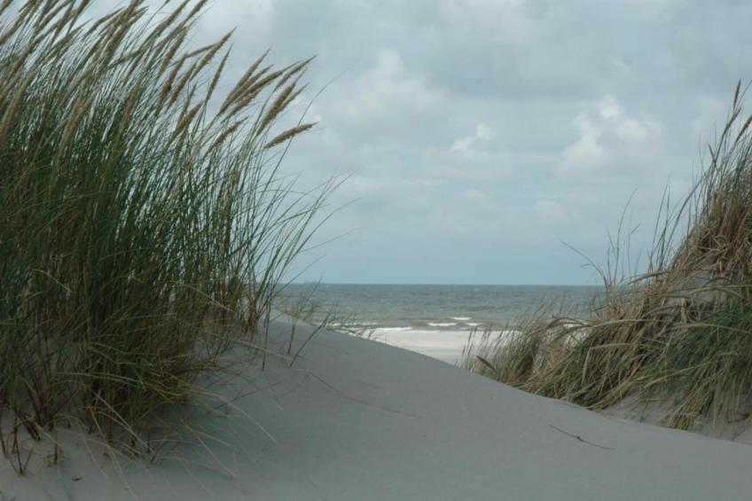 Duindroom op Terschelling - foto 31