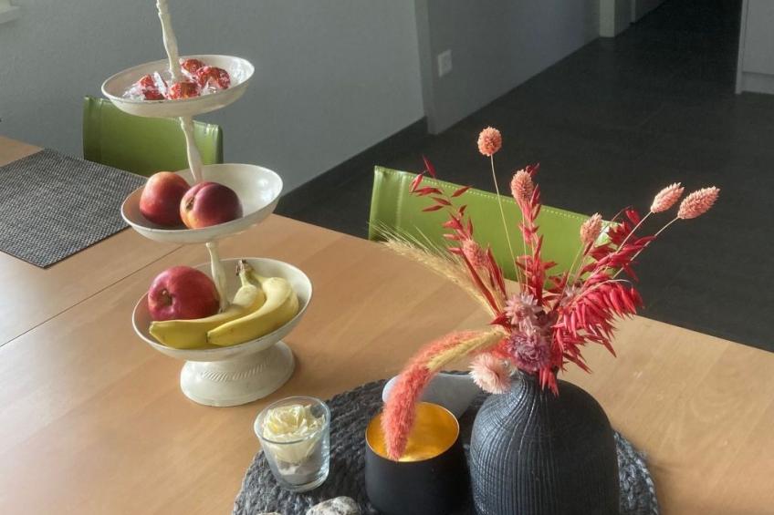 Gemütliche Parterre-Ferienwohnung mit Terrasse - foto 5