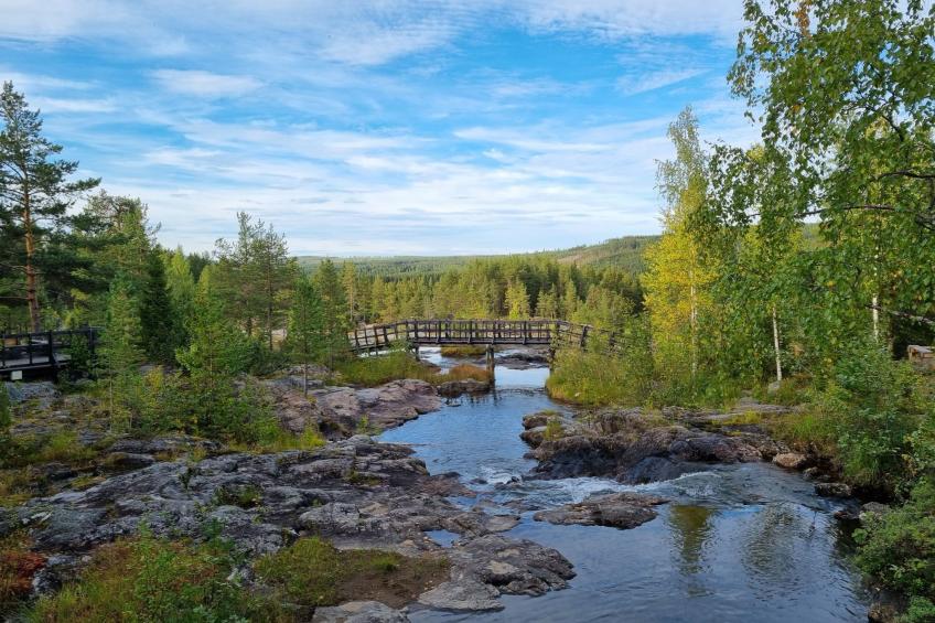 Villa Edda - foto 34