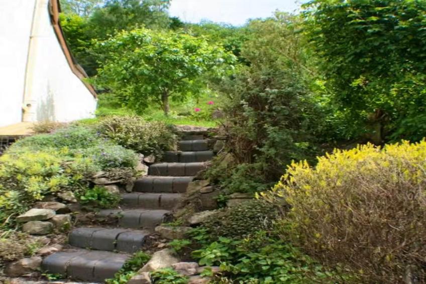 The Anchor - foto 33