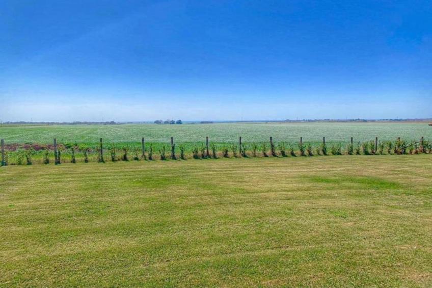 La Lavanda - foto 32