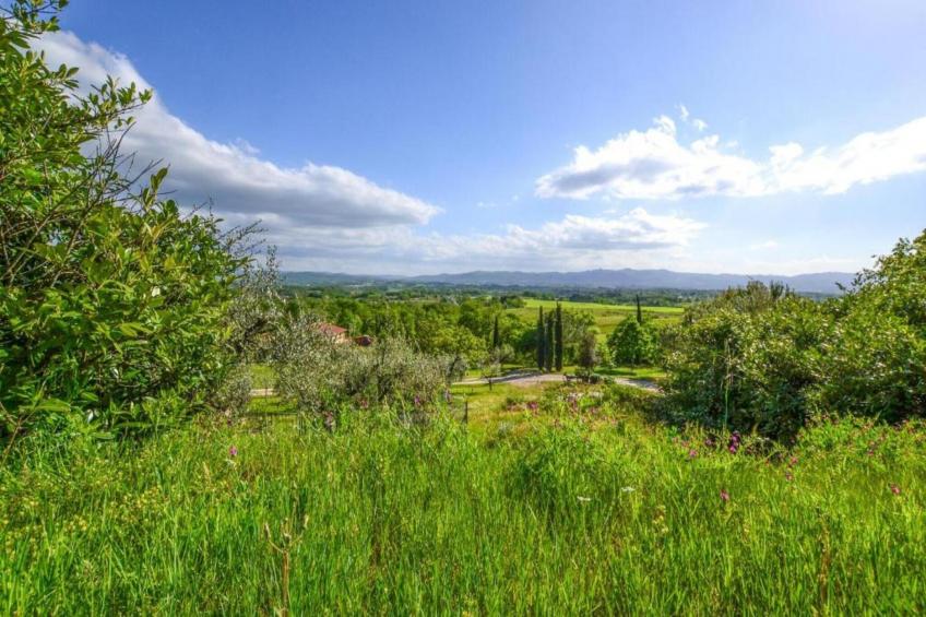 Podere Pulicciano Cantina - foto 34