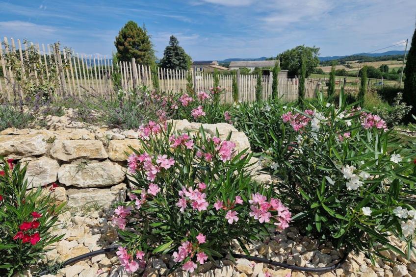 Charmante Ferienwohnung La Martinelle - foto 21