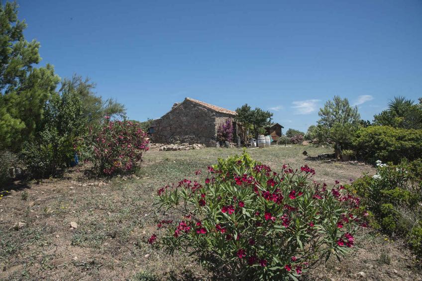 Finca zum Abschalten in Miitten der Natur - BF-CH6HD - foto 7