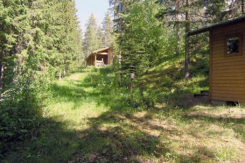 Lomakuikka - foto 39