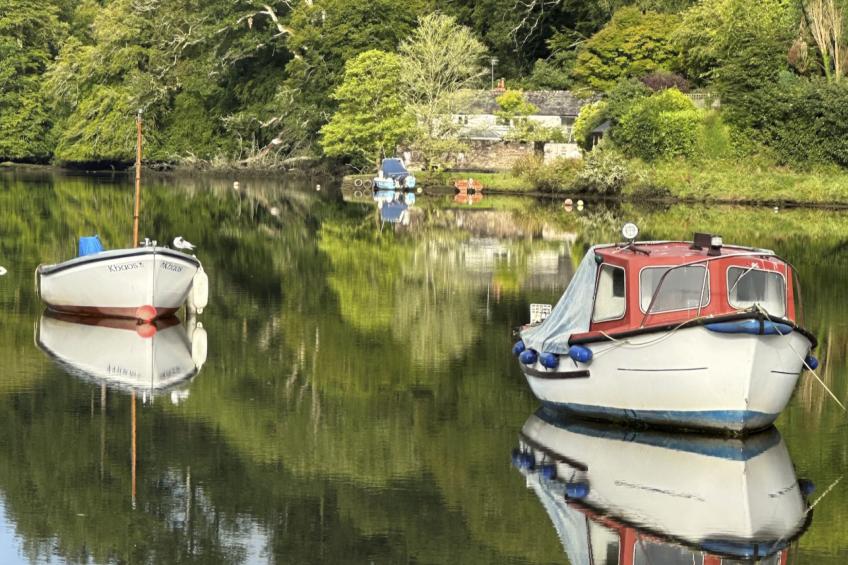 Riverside Cottage - foto 8