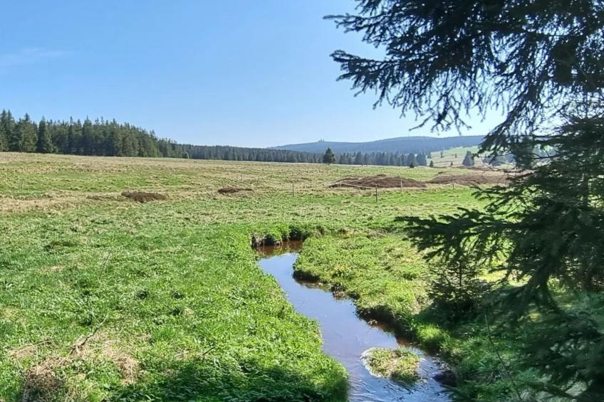 Appartement mit Blick auf das Wasser - foto 33