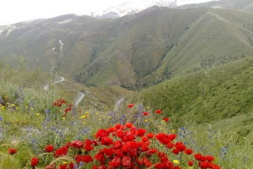 Tenguerengue - foto 10