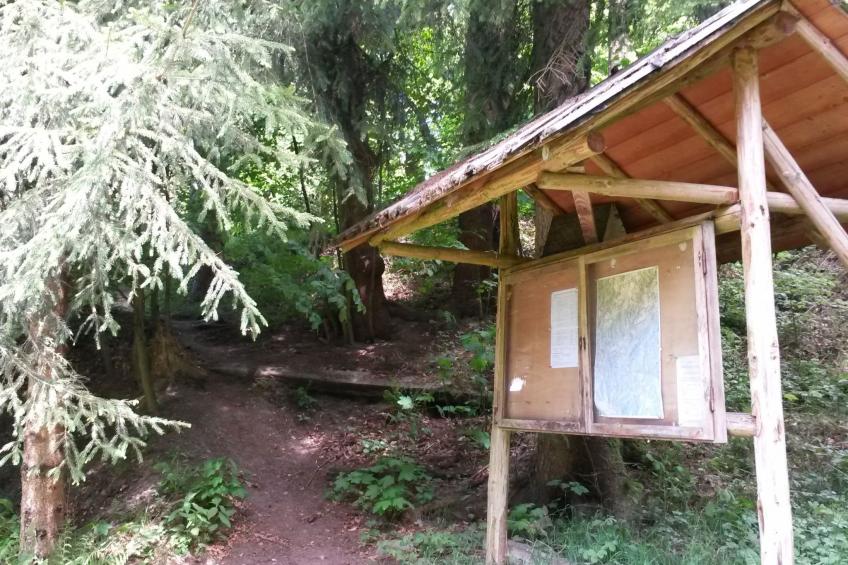 für 6 Personen im Thüringer Wald - foto 10