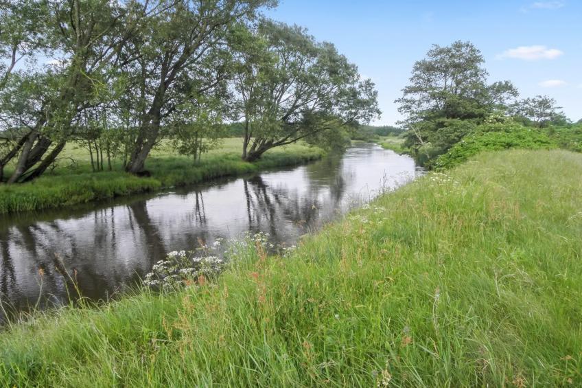 "Beatha" - 25km to the inlet in Western Jutland - foto 23