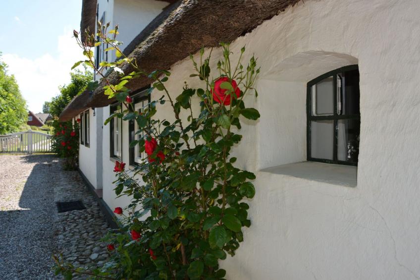 Haus Wattwurm - foto 4