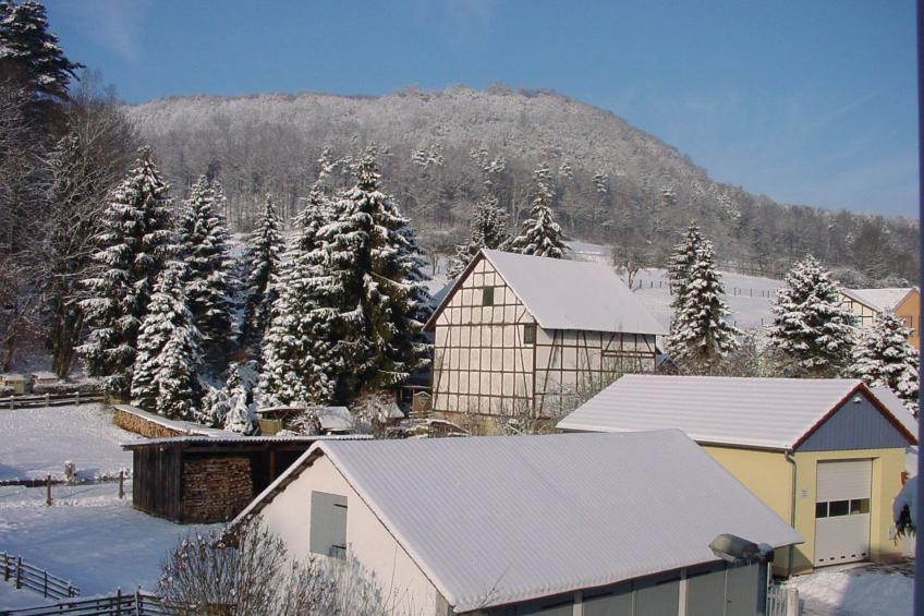 in Holzhausen mit Grill und Terrasse - foto 27