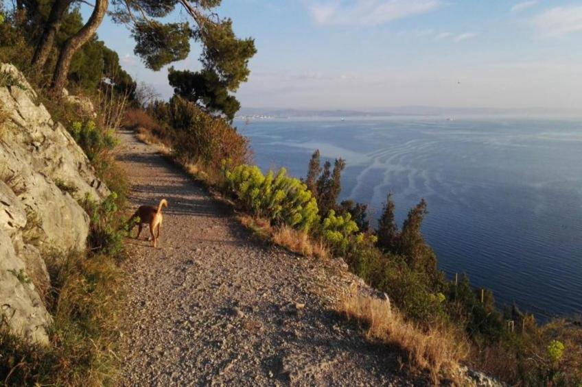 Les Balcons d'Auréa - foto 31
