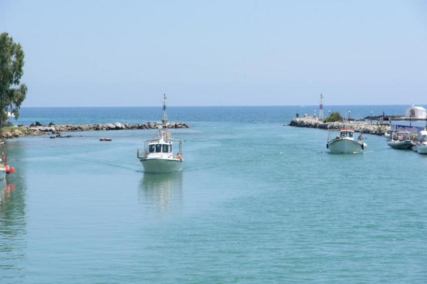 Villa Roula - foto 34