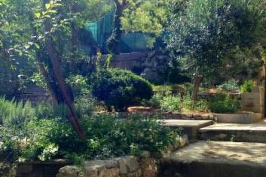 Wohnung mit großer privater Terrasse im Grünen - foto 19