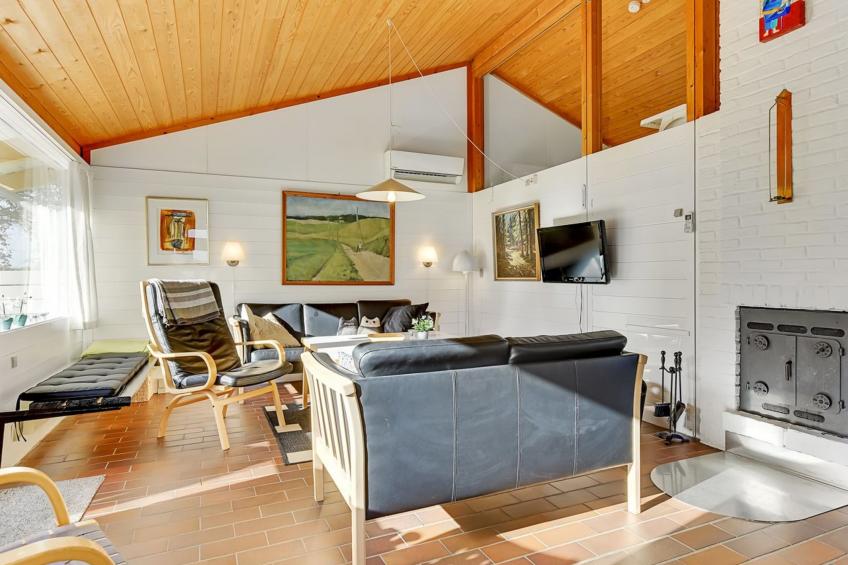 "Boris" - 500m from the sea in SE Jutland - foto 31