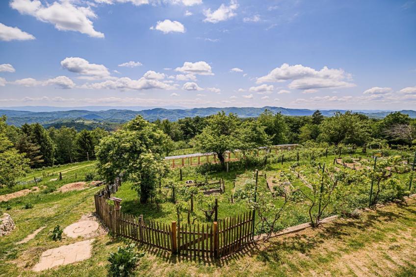 Hidden Authentic Haven Apartments - Two Bedroom Apartment with Balcony - foto 23