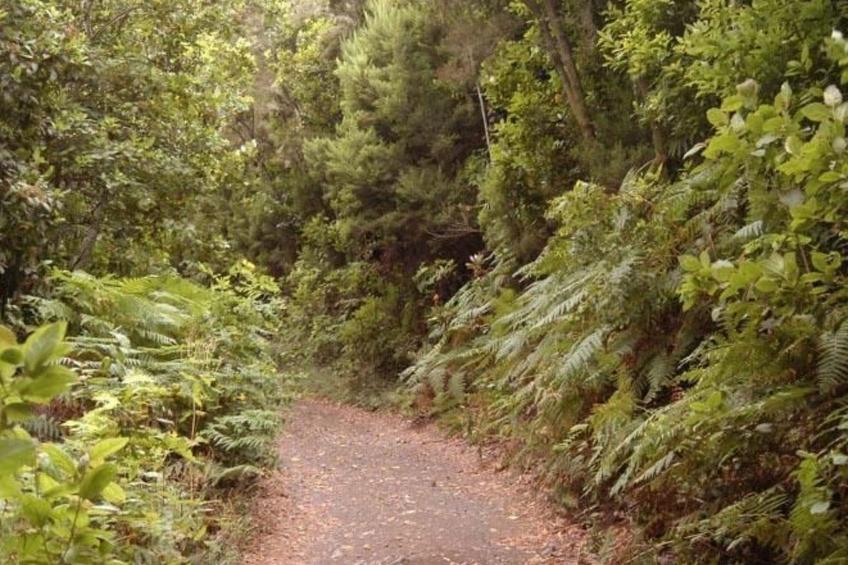 Ländliches Haus Monte del Agua - foto 27