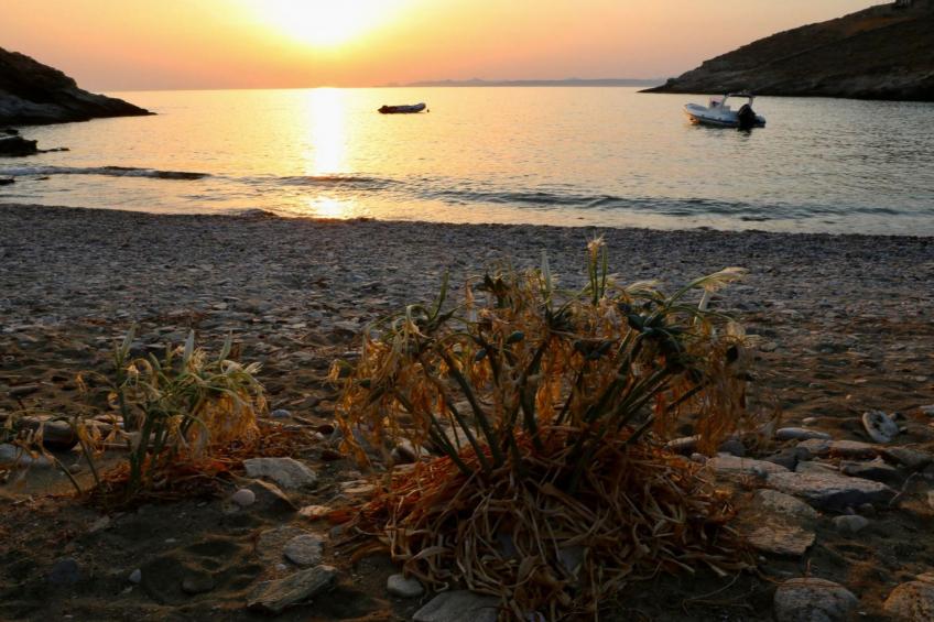 Luxuriöse, ruhige Wohnung direkt am Meer - Privatstrand - foto 85