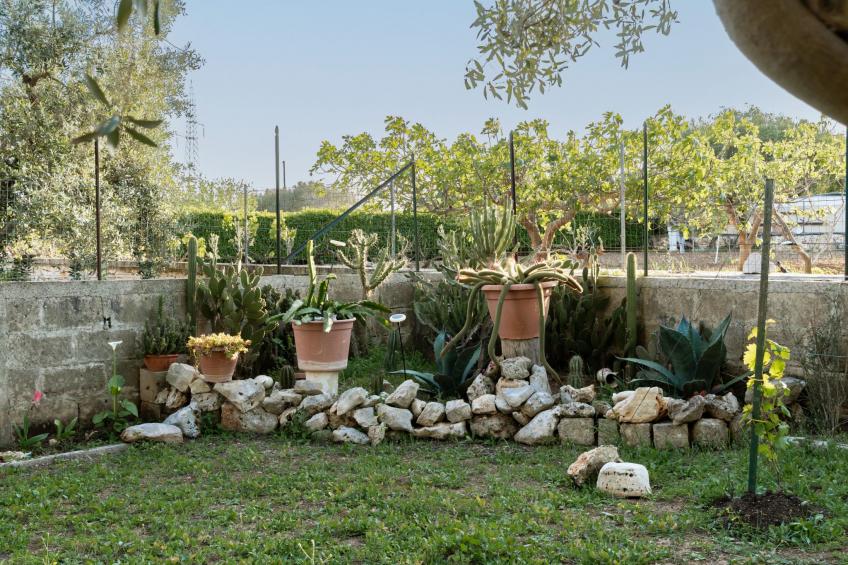 Villa Pallino mit Pool - foto 4