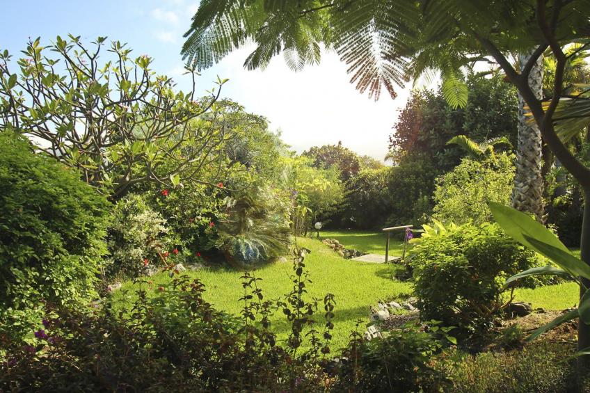 Finca Tocama - foto 7