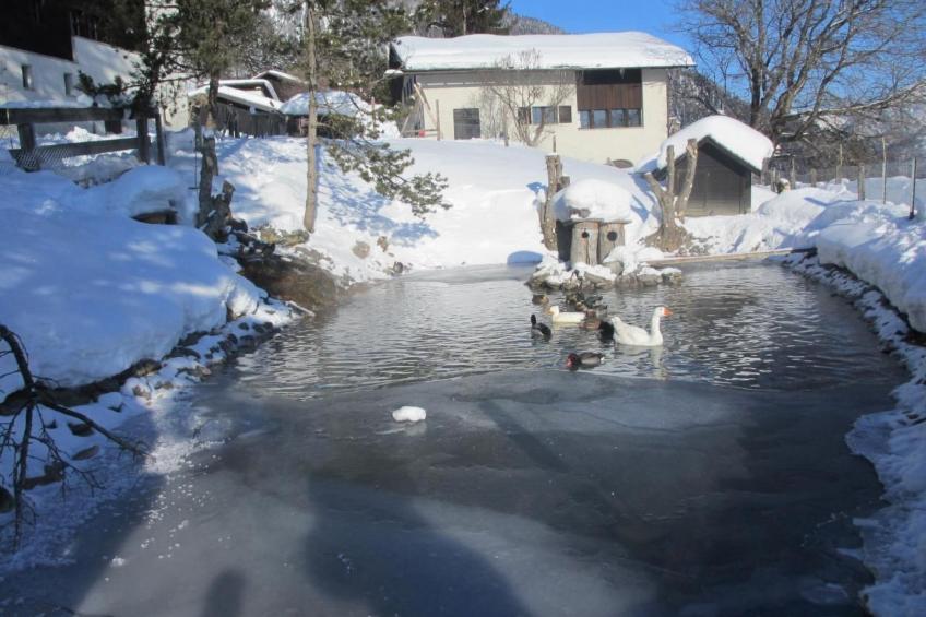 Staudenhof Viamala - foto 24