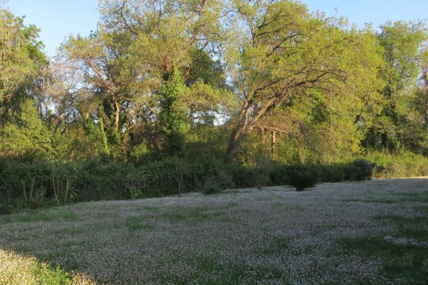 Résidence Amanda - foto 21