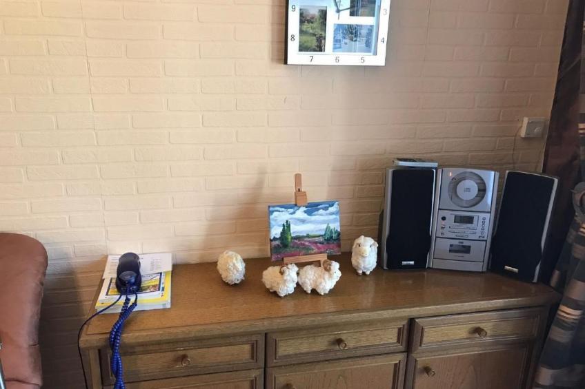 Elbe-Ilenpool -In Ruhe entspannen - foto 5