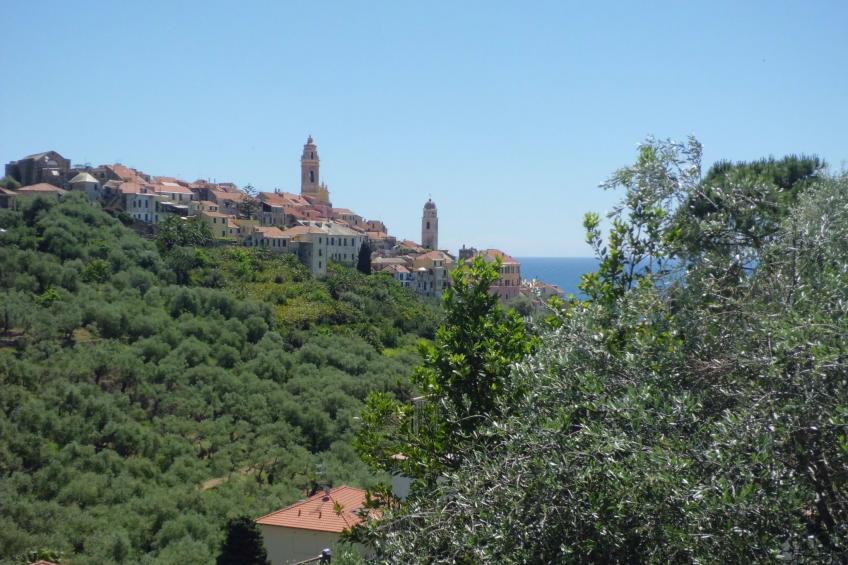 Isolabella - foto 29