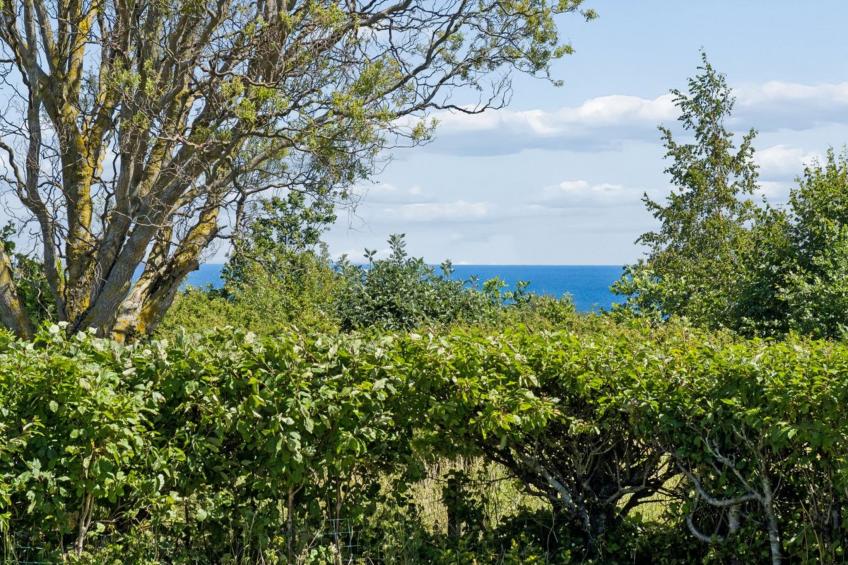 "Karlotta" - 500m from the sea - foto 5