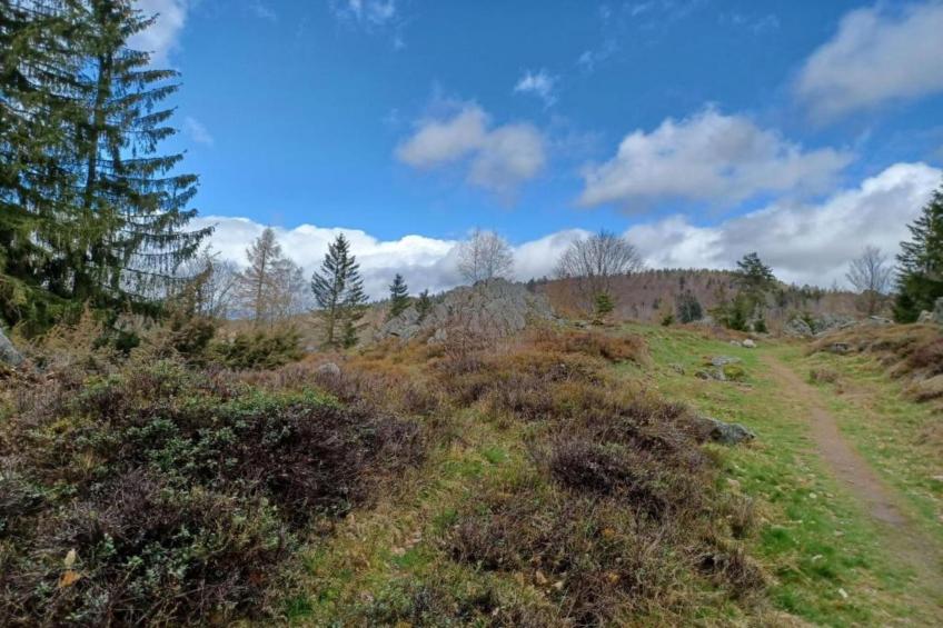 Urlaub auf dem Bauernhof - foto 39