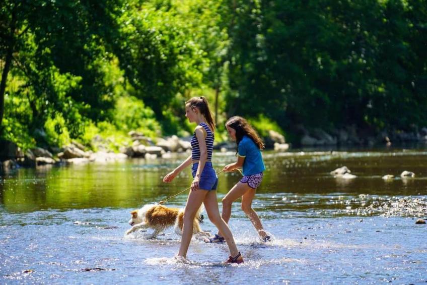 Nid des Amis - foto 28