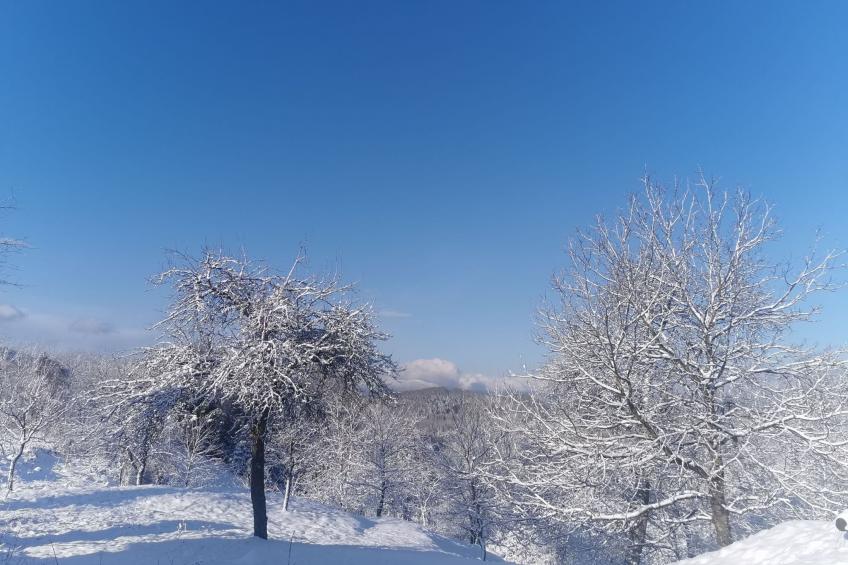 für 4 Personen ca. 65 m² in Brod Moravice, Gespanschaft Primorje-Gorski (G - foto 12