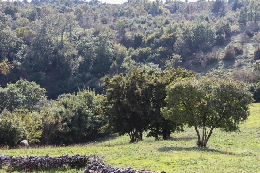 Arton Villa mit beheiztem Pool, in Istrien - foto 22