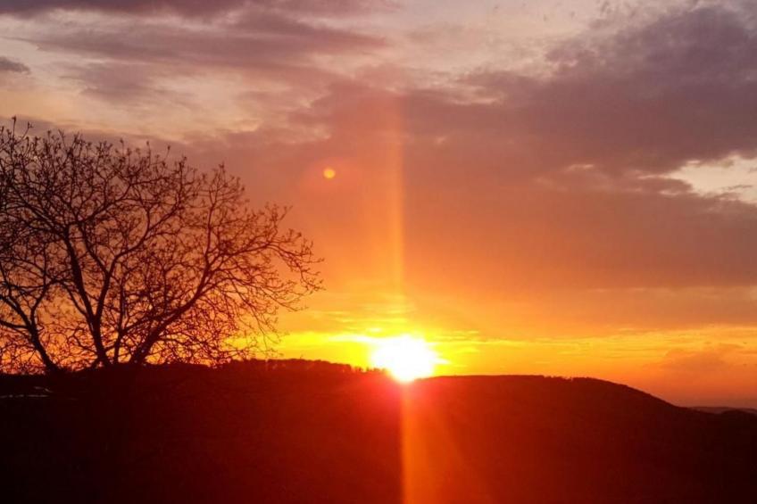 Chalet Staufenhof - foto 46