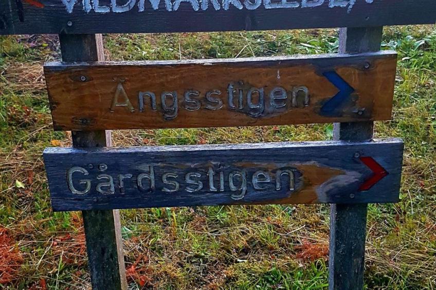 Villa Bullerbü - foto 33