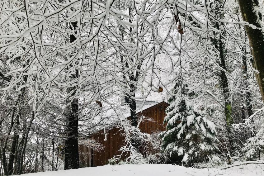 La Linotte - foto 29