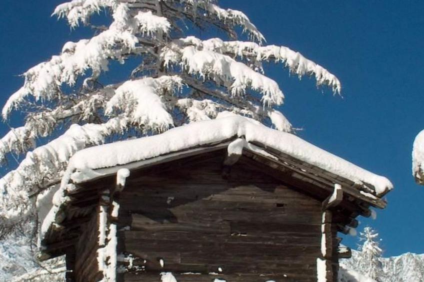 Alpin-Lodge - foto 8