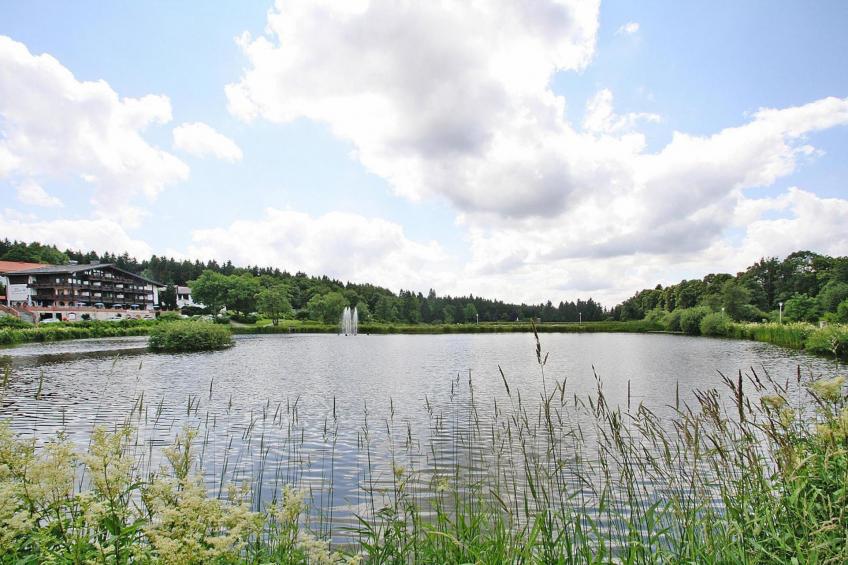 Ferienhaus, Hahnenklee - foto 19