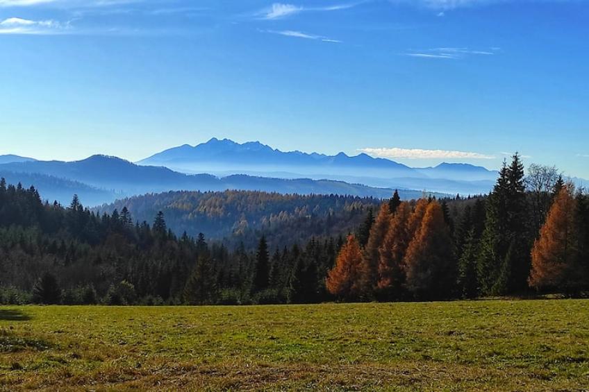 Dom wakacyjny dla 8 osób w Piwnicznej Zdroju - foto 45