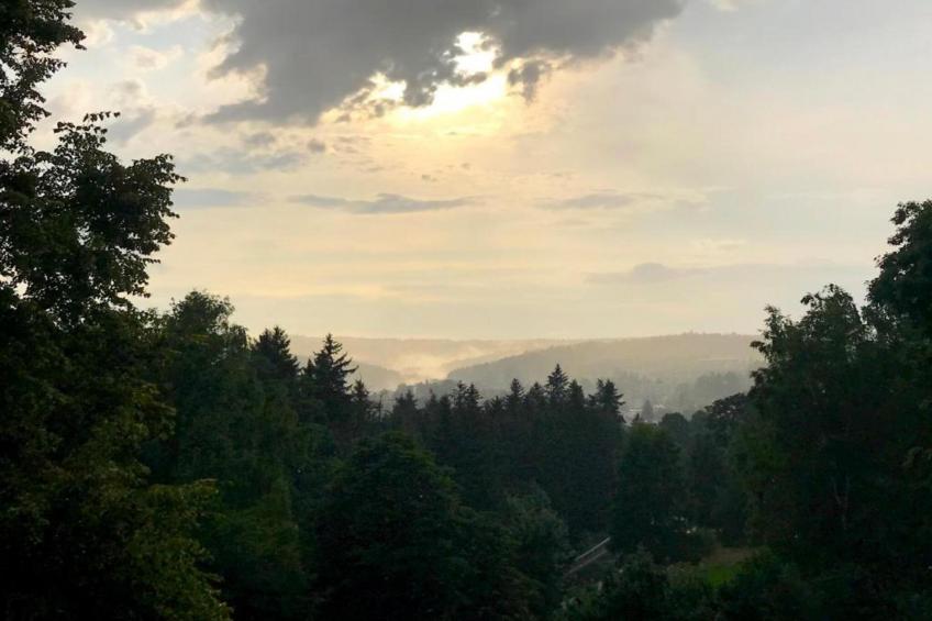 Bad Elster - foto 20