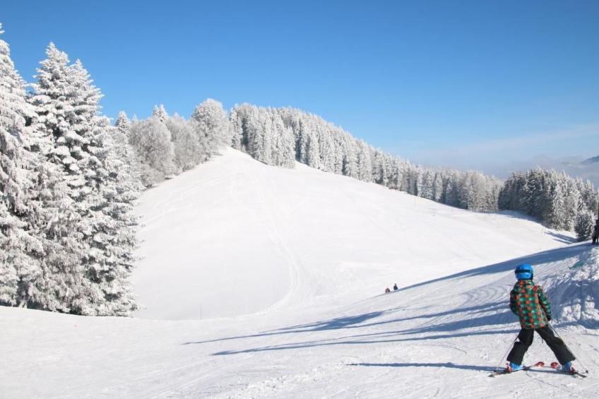 Les Narcisses,Blonay - foto 12