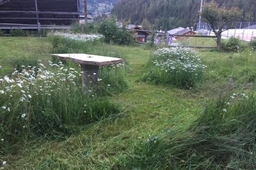 Chalet familial - foto 8