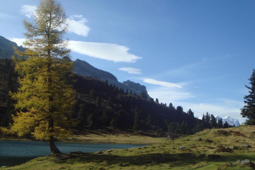 Alphütte Gental - Haslital - foto 29