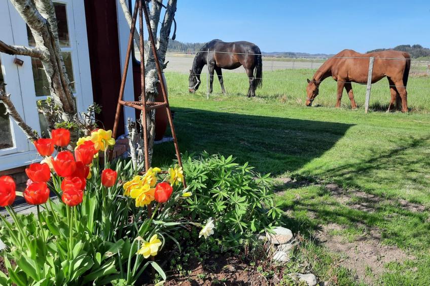Bauernhaus-Wohnung bei Göta Älv in der Nähe von Göteborg - foto 11
