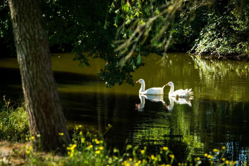 Wohnung "El Corral" mit Terrasse - foto 34