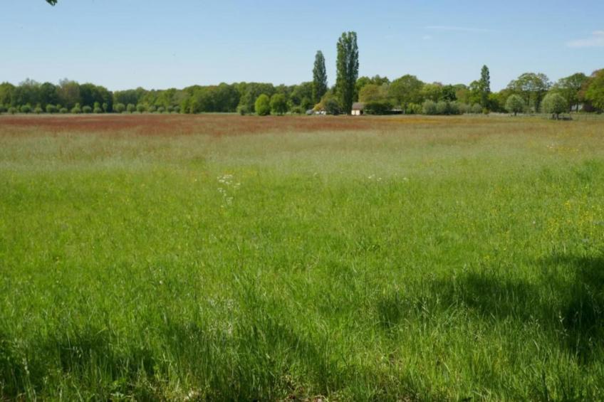 Boszicht 4 personen - foto 30