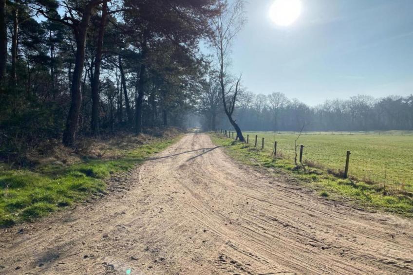 Park Haarle - foto 28