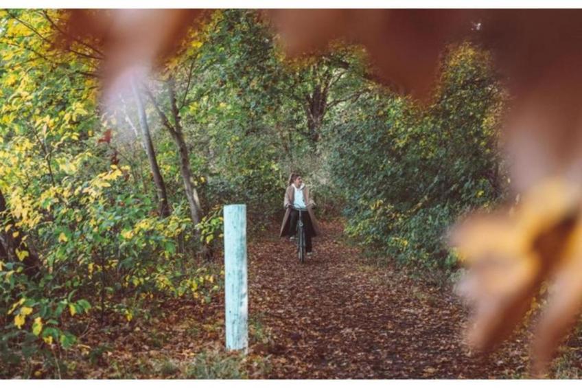 Dwergarend 17-22 - foto 26