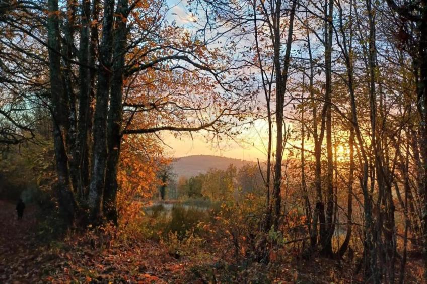 Maison de vacances Vitry Lache - foto 38